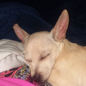 Meet your Posher, Claudette